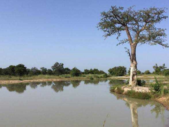 У національному парку Беніну вбили гіда і викрали двох туристів