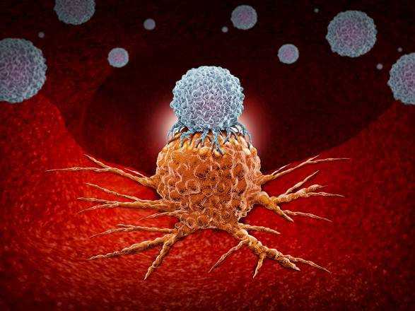 Навчити імунітет: лікар розповіла чи може організм розпізнати та знищити ракові клітини