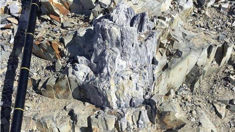 В Антарктиде нашли пень, которому уже 280 миллионов лет