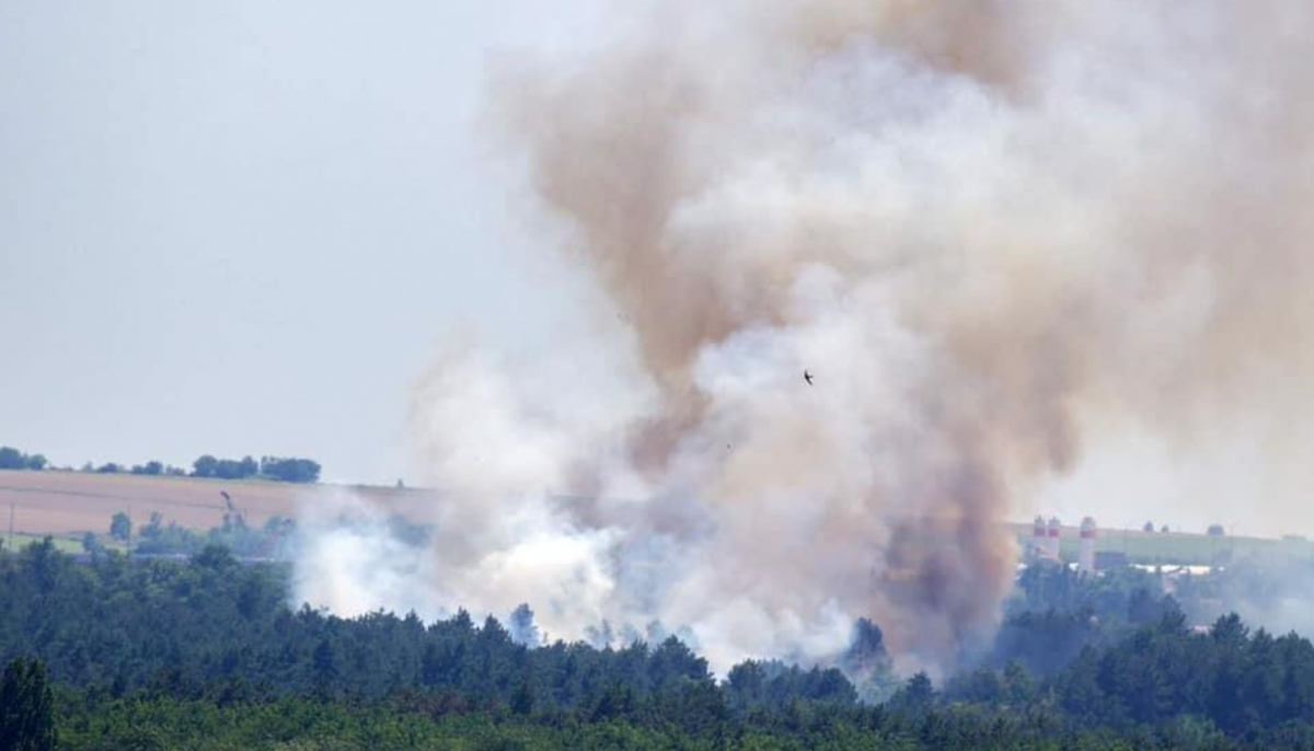 Названо ймовірну причину пожежі на острові Хортиця в Запоріжжі