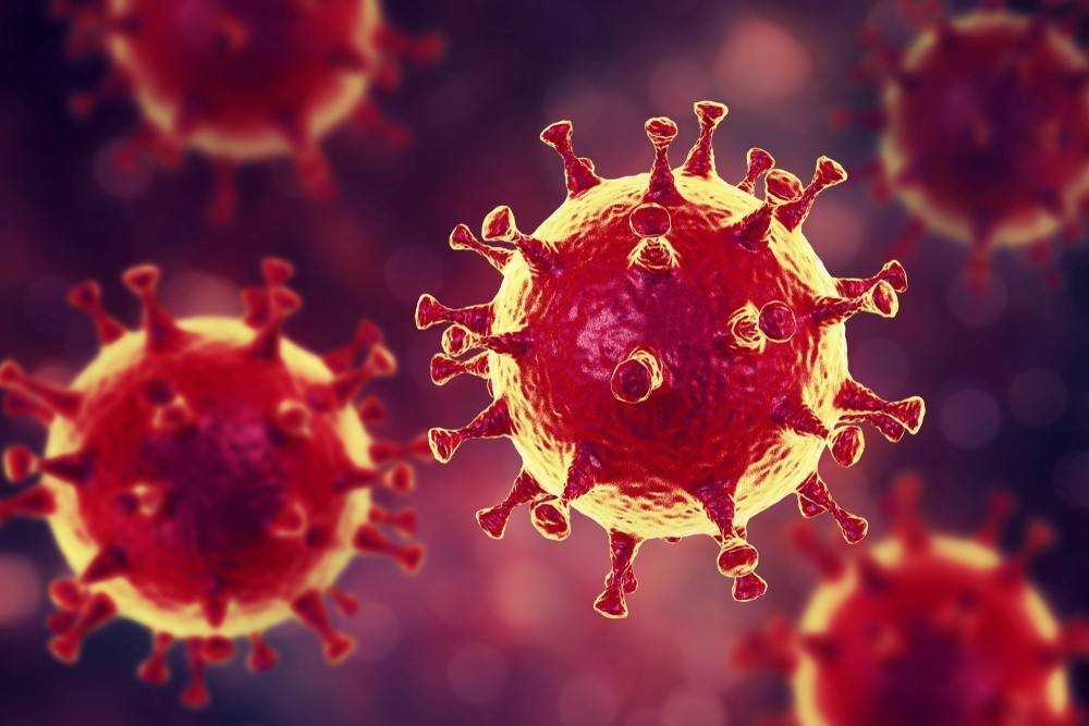Пандемия COVID-19: у коронавируса нашли нову мутацию, позволяющую ему инфицировать повторно - несмотря на иммунитет