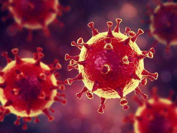 В мире от коронавируса умерло более 803 тысячи человек