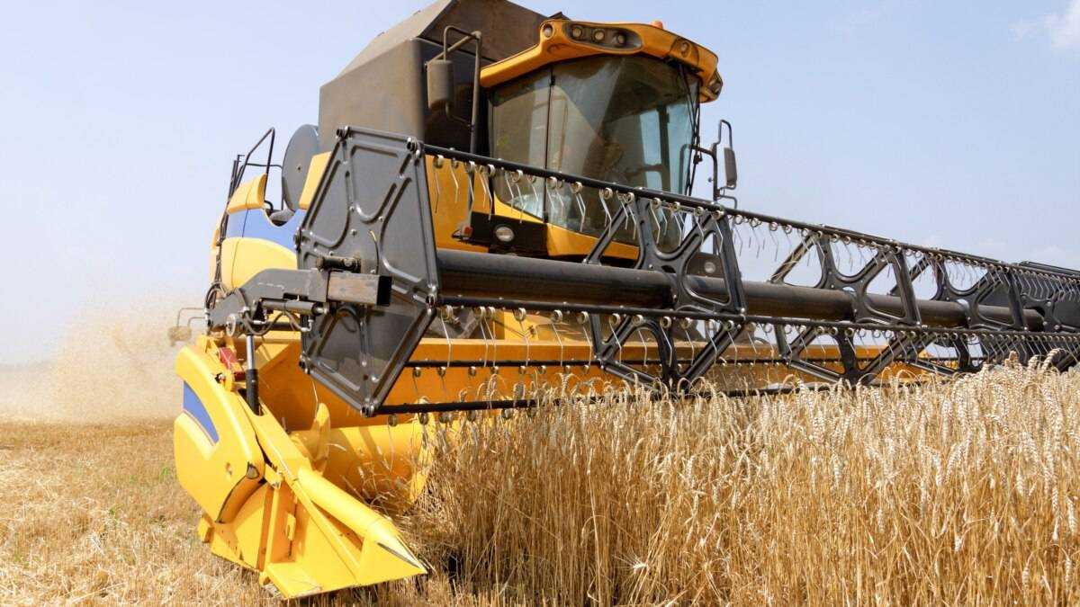 В Україні очікують подальше падіння врожаю