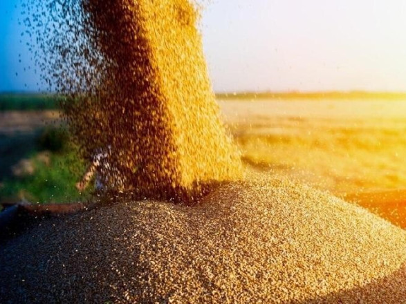 Украина работает над альтернативными мерами в случае прекращения работы "зерновой сделки"
