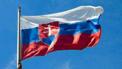 Словакия призывает РФ повлиять на боевиков для обеспечения международного расследования катастрофы Boeing-777