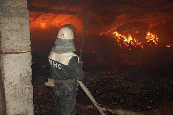 В результате пожара в Николаевской области на ферме сгорели 60 свиней