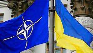 НАТО поддерживает территориальную целостность и суверенитет Украины - Расмуссен