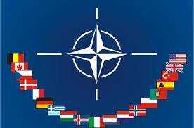 50 наиболее тяжелораненых украинских военных страны НАТО помогут протезировать – Геращенко