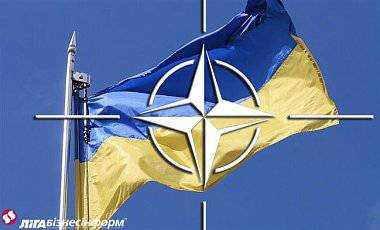 Поставлять ли оружие Украине должны решить страны НАТО - польский депутат