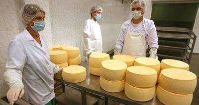 Проверка украинских молочных продуктов ветеринарами ЕС прошла успешно - Госветфитослужба