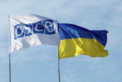 Организация по безопасности и сотрудничеству в Европе пока не отреагировала на предложение Германии и Франции направить дроны и военных в Украину, согласие должны дать все члены организации ОБСЕ - Штайнмаер