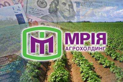 Агрохолдинг «Мрия» ведет реструктуризацию по задолжности