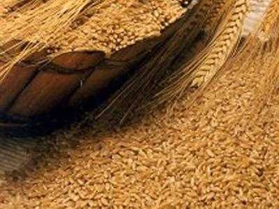 На 7 ноября Украина экспортировала 12,7 млн тонн зерна – Минагропрод