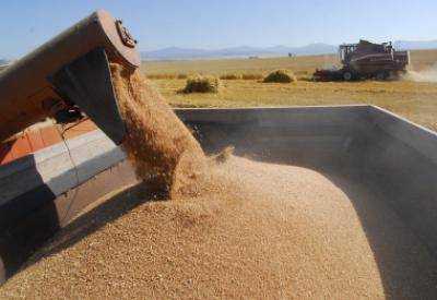 Украина собрала 58,8 млн тонн зерновых – Минагропрод
