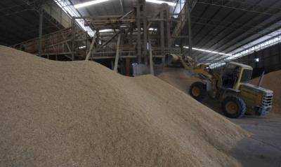 Госстат: К 1 ноября запасы зерна в Украине выросли на 31% - до 29,9 млн тонн