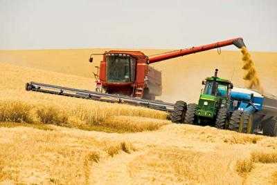 Прогноз урожая зерновых в Украине повысили до 60 млн тонн