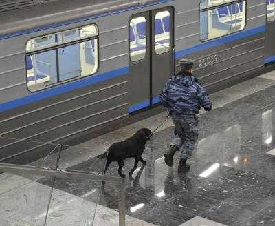 В Киевском метро будут нести службу 20 кинологов и 12 собак