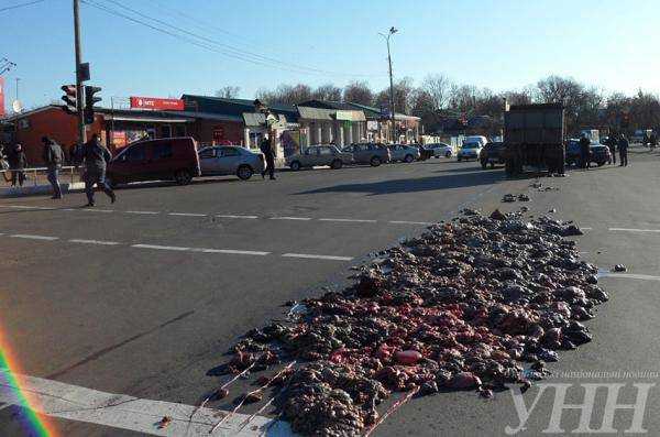 В Лубнах Полтавская область водитель КАМАЗа потерял на дороге несколько сот килограммов потрохов, производственные отходы на несколько метров покрыли центральную улицу города (фото)