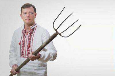 Кресло вице-спикера может достаться Ляшко - Витко