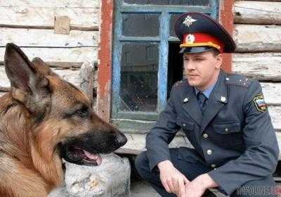 Верховная Рада планирует запретить в Украине показ фильмов с пропагандой вооруженных сил государства-оккупанта