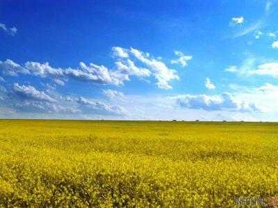 Реформы в Украине начались - Порошенко