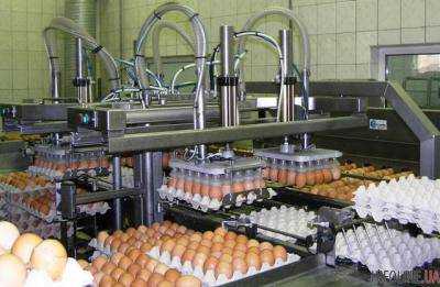 Антимонопольный комитет рекомендует основным птицефабрикам и торговым сетям воздержаться от необоснованного повышения цен на куриные яйца