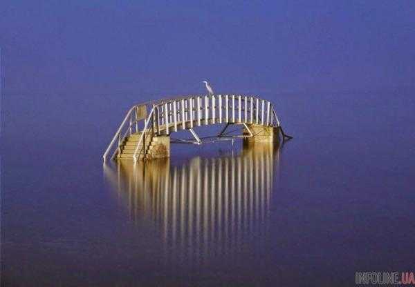 Необычный мост в Шотландии: фото
