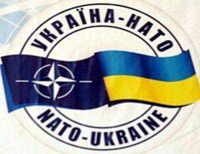 НАТО: Донбасс слишком мал, чтобы диктовать условия Украине
