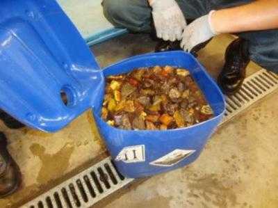 Гражданин Литвы пытался вывезти в Венгрию 35 кг янтаря