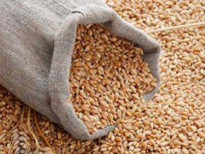 ПАО "Государственная продовольственно зерновая корпорация Украины" планирует закупить в этом году около 350 тыс. тонн зерна