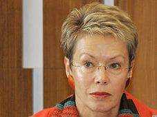 Подгруппа по гуманитарным вопросам заслушала доклад представителя Красного Креста