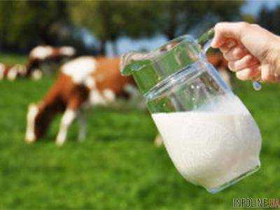 В Украине упало производство молока в январе-июне на 4,5% - Госстатистики