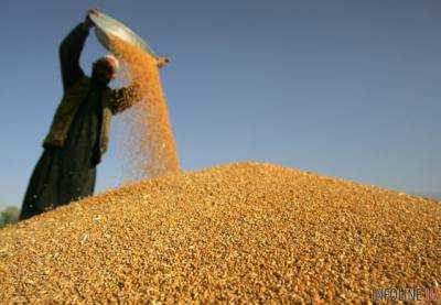 С начала года экспортировано почти 1 млн тонн зерновых
