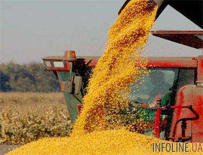На сегодня украинские аграрии намолотили 13,5 млн тонн зерна нового урожая