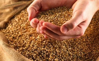 Украина экспортировала 1,7 млн тонн зерна с начала маркетингового года
