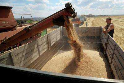 Украина экспортировала почти 1,9 млн тонн зерна