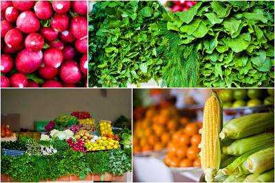 Россия вернет 4,3% украинской растительной продукции