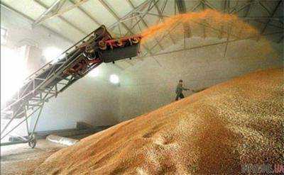 Украина экспортировала в течение июля 2,5 млн тонн зерна