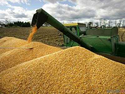 На 1 августа  Украина экспортировала 2,5 млн тонн зерновых
