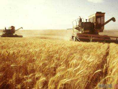 Херсонская область побила рекорд по сбору зерновых за годы независимости