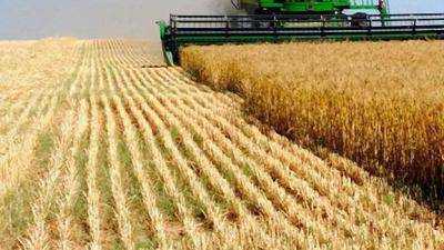 На полях в Луганской области собрано 99% зерновых культур