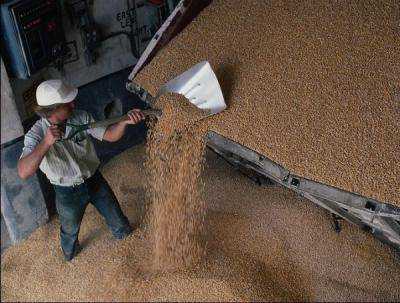 В Украине намолочено более 35,7 млн тонн зерна нового урожая