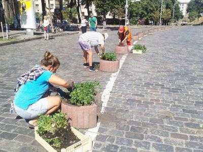 После Дня независимости бетонные вазоны с бархатцами уберут