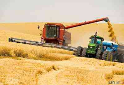 Украинские аграрии завершили сбор ранних зерновых и намолотили 36,7 млн тонн - Минагрополитики