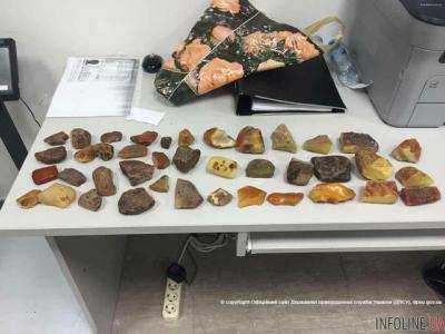 В Пекин пытались вывести янтарь на полмиллиона гривен