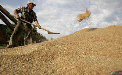 Минагрополитики спрогнозировало экспорт зерновых на уровне 36,83 млн тонн в 2015/2016 маркетинговом году