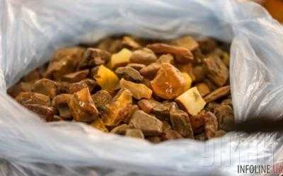 4 килограмма янтаря и валюту изъяли у жителя Ровенской области