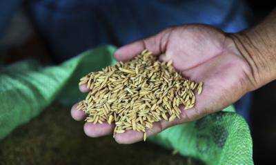 На сегодняшний день Украина экспортировала почти 7 млн ??тонн зерновых