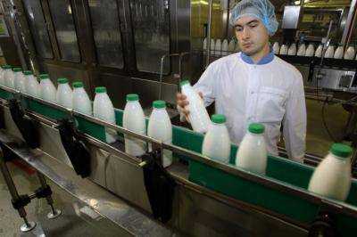 В Украине производство молока сократилось на 4,6%