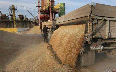 Более 8 млн тонн зерна экспортировано и подготовлено к экспорту - министр